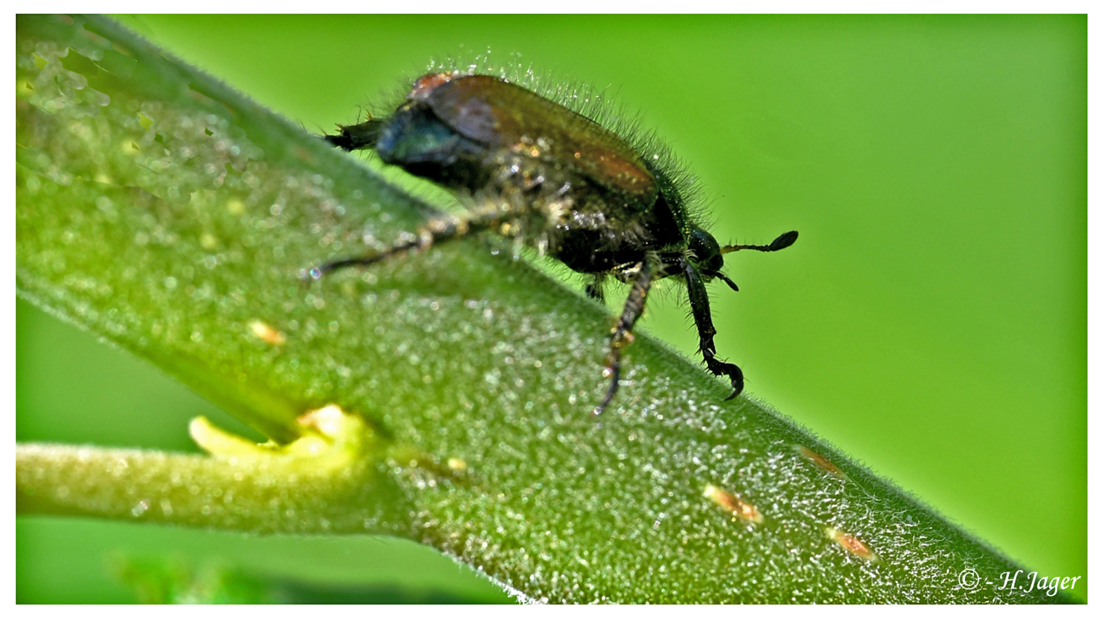 ZFC_0351