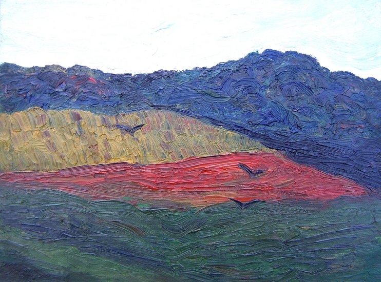 Kraaien boven het veld