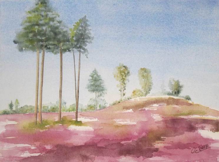 201708 Grafheuvel heide