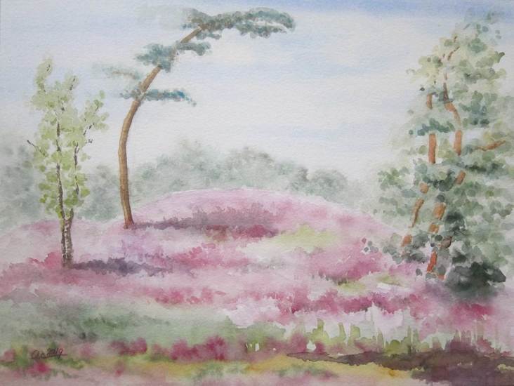 201908 Heide Treekerweg Woudenberg