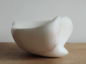 Stenen organische beelden