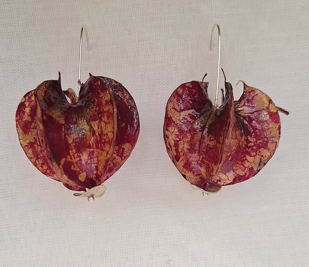 Oorsieraad Zegekruid