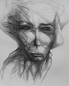 Tekeningen waar verbeeldingskracht en werkelijkheid elkaar raken.