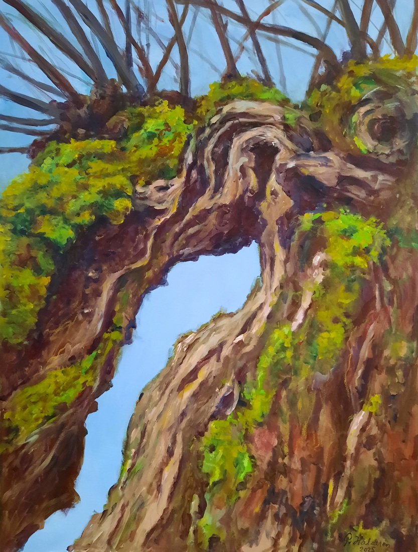 Knotwilg. Gestolde groeikracht