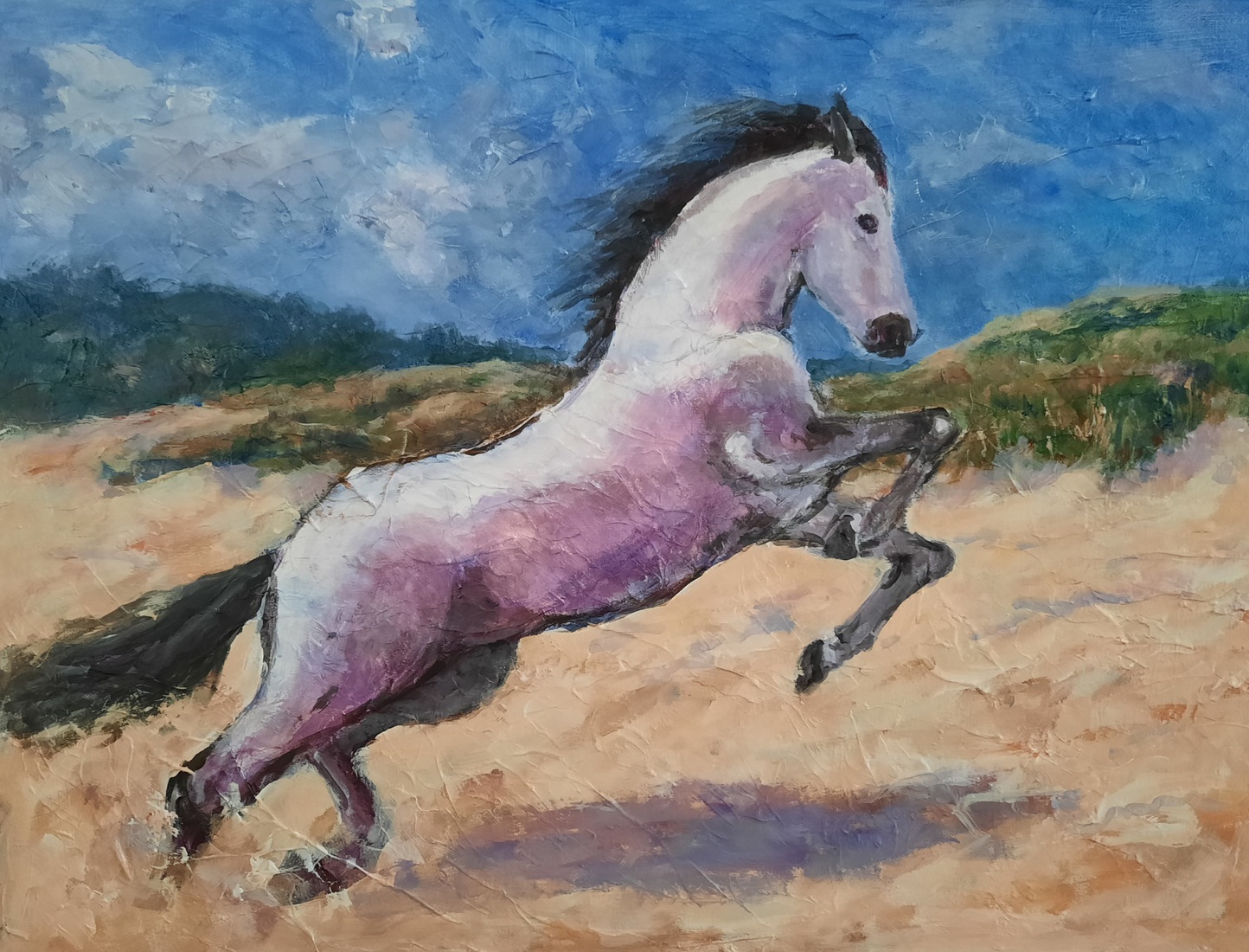 Sprong naar vrijheid