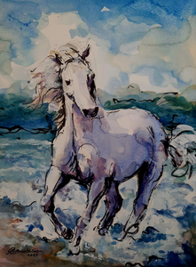 Expressie van kracht, beweging en vrijheid van paarden