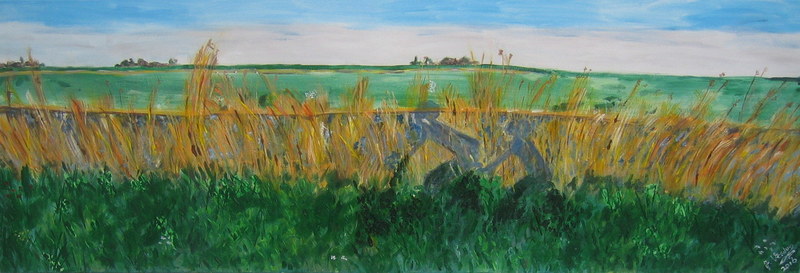 fiesende schaduwen in Hollands landschap