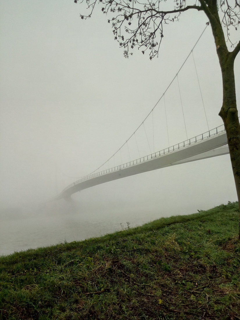 Nesciobrug in de mist