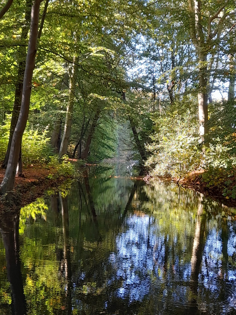 Omgeving 's Gravenland