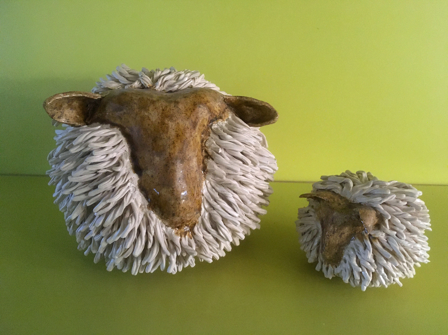 'Harig' schaap met jong