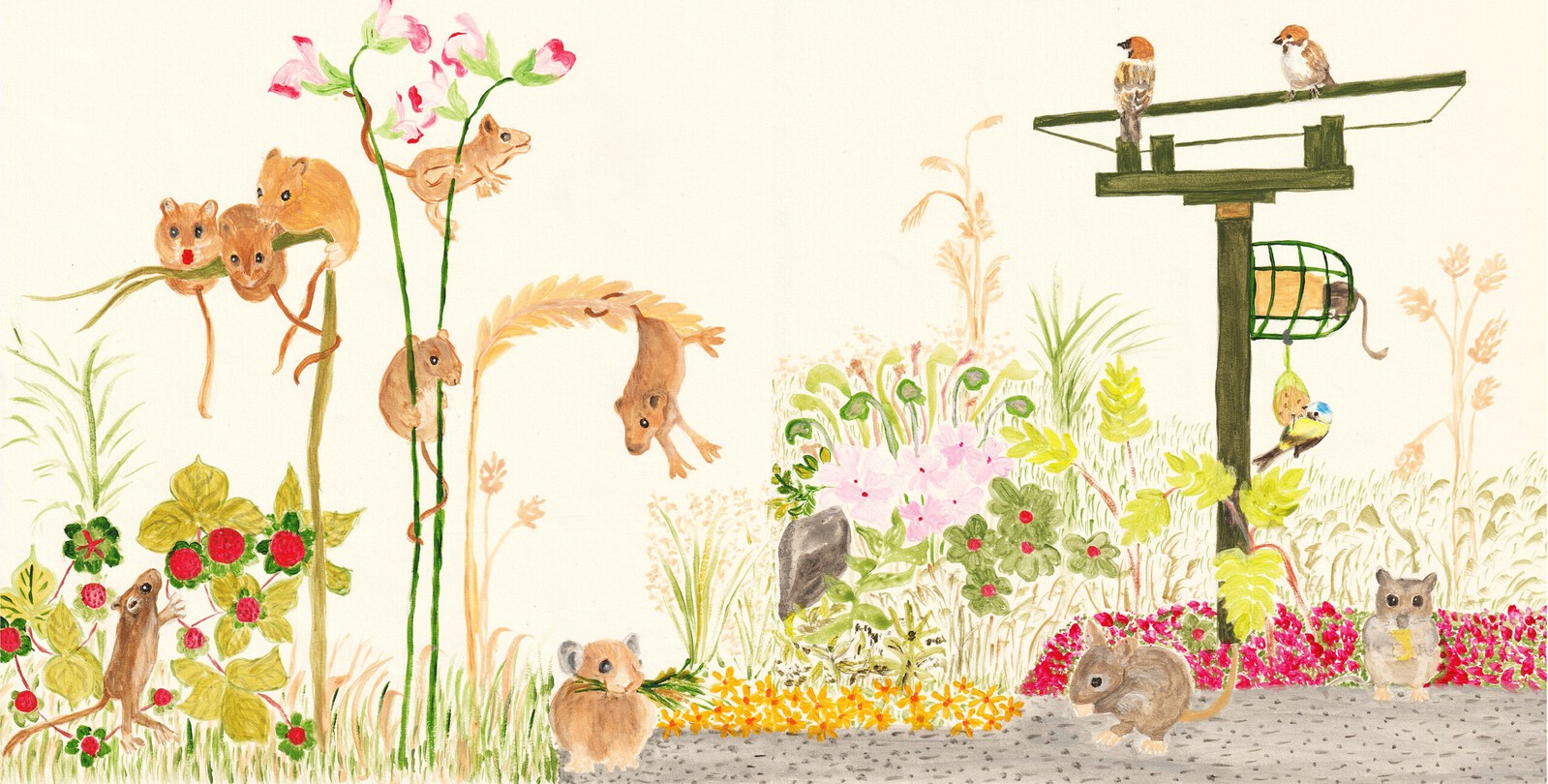 Muizen in de tuin