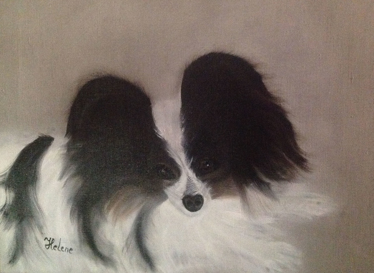 Zwart wit vlinderhondje