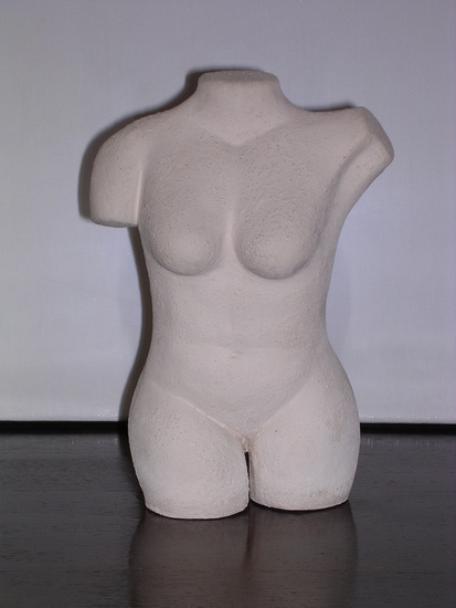 torso