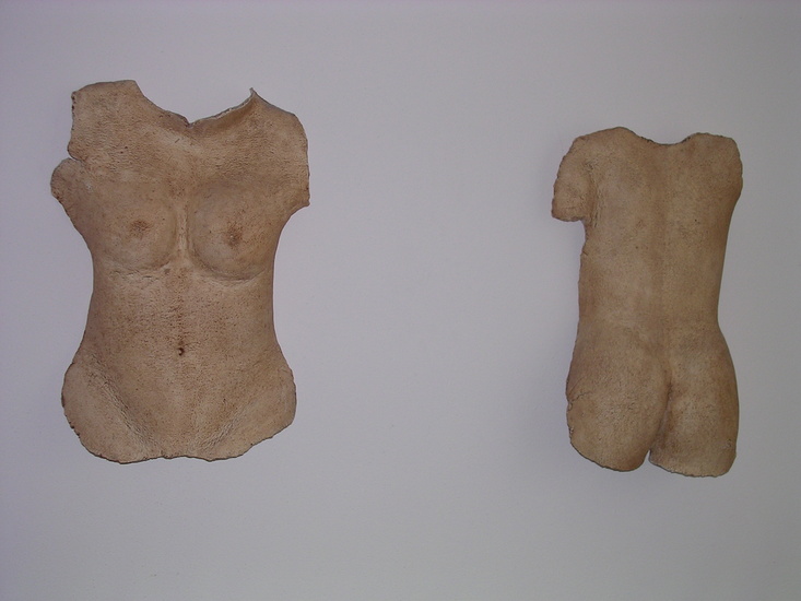 torso