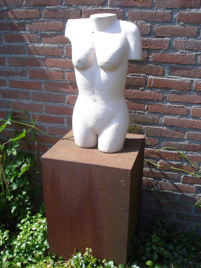 torso