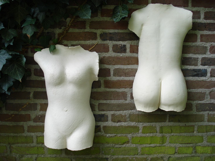 torso