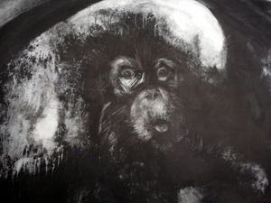 Apen zwart wit 1
