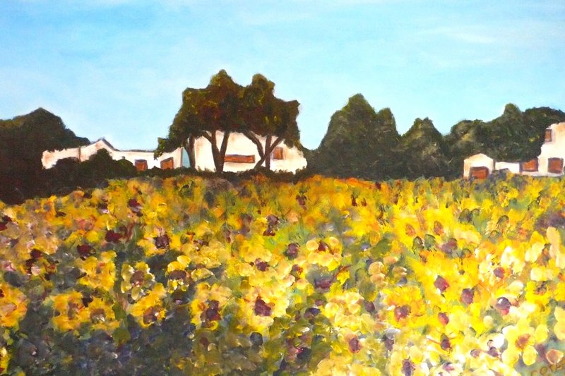 Landschap zonnebloemen