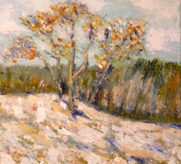 Boom in duinlandschap