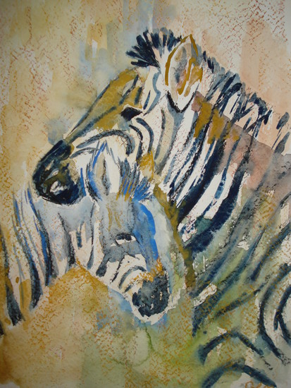 zebra moeder en kind
