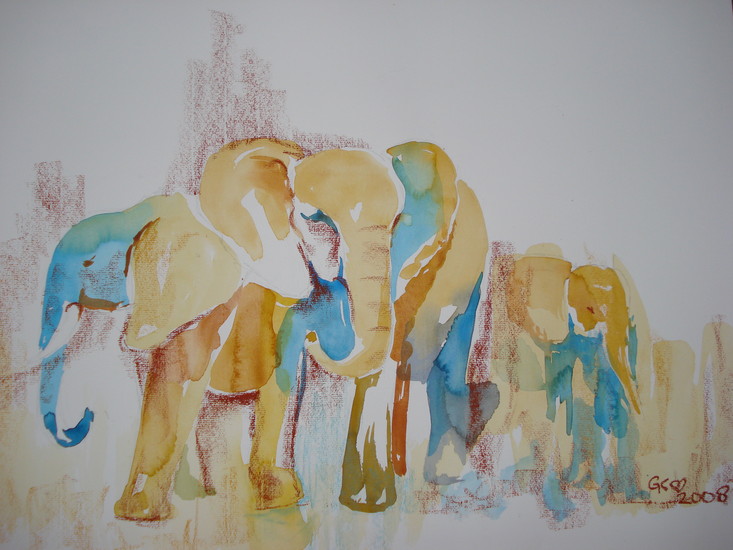 olifanten in de ochtend