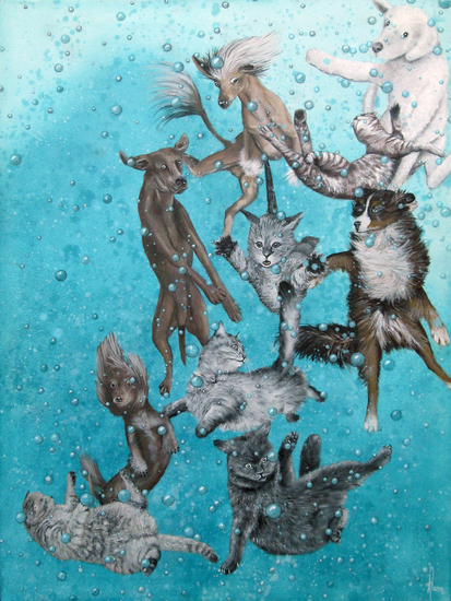 Raining Cats and Dogs