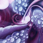 Verschillende onderwerpen