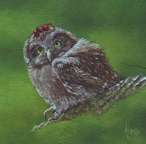 Gedetailleerde schilderijen op klein formaat met afbeeldingen van flora en fauna.