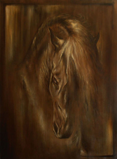 Zifaro - A Dance of Trust