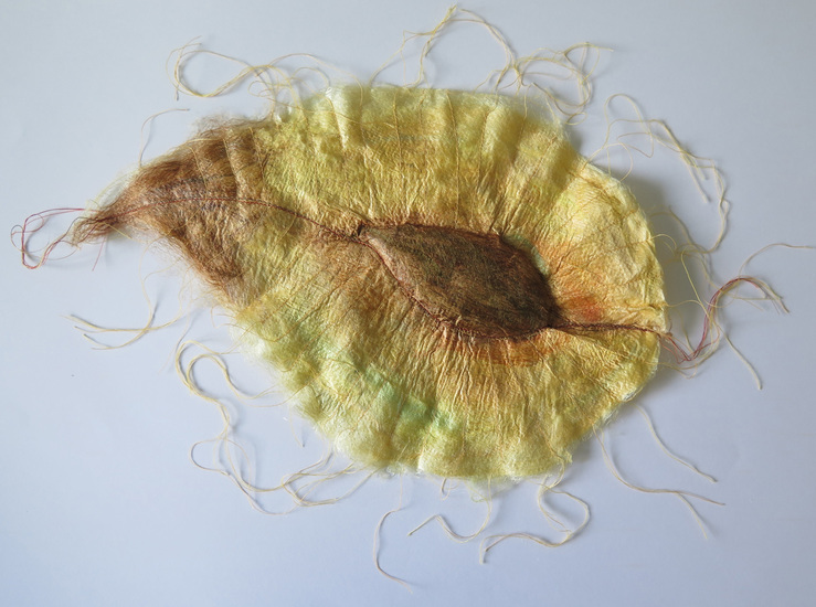 Is this an elmseed (detail)