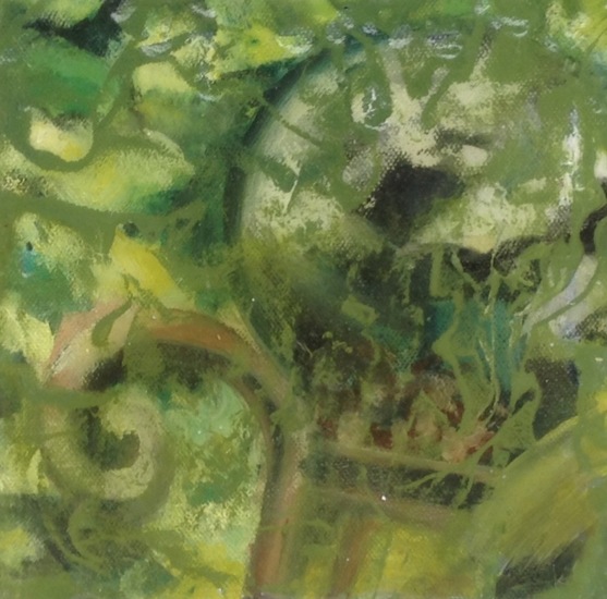 Explosie van groen 3