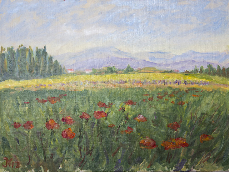 Voorjaar in de Vaucluse