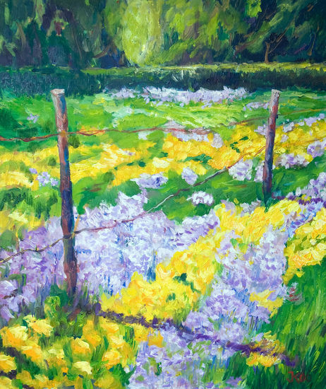 Pinksterbloemen in een wei