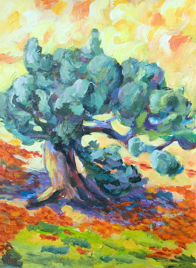 olijfboom tussen de papavers