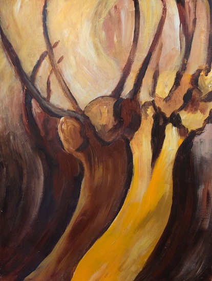 Dans van de knotwilgen