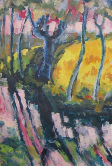 Bloeiend koolzaadveld