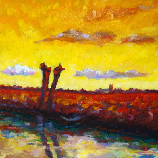 roze wolk met knotwilgen