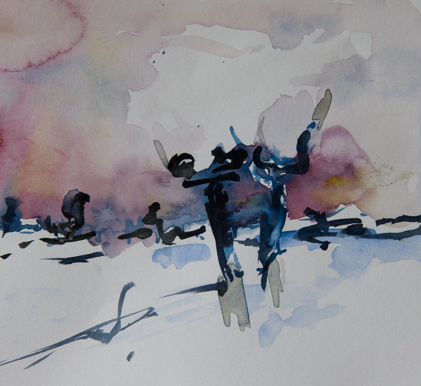 knotwilgen in besneeuwde polder