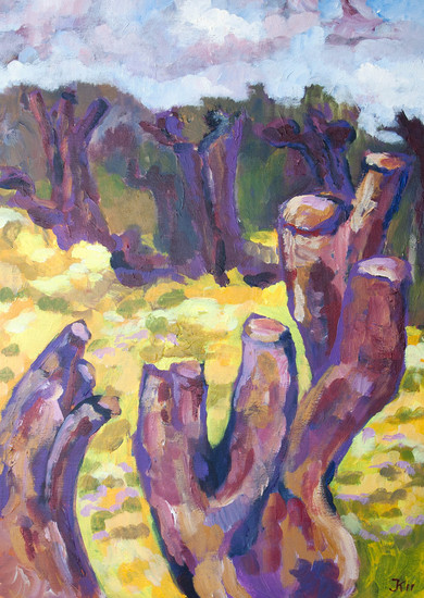 Knotwilgen in Wilp II