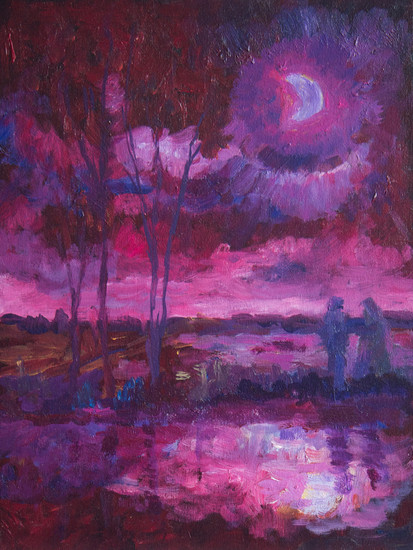 Polder in het maanlicht