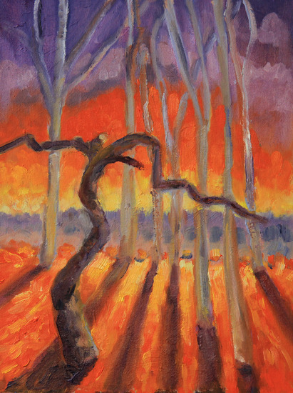 Carla'sherfsttuin nr. 3