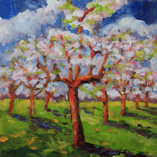 Lente in de Betuwe 1 - 2012