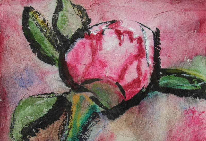 knop van een pioenroos