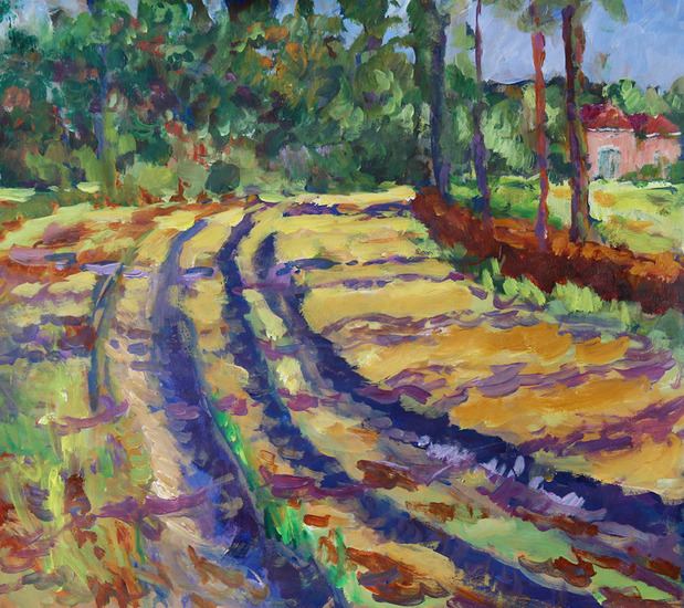 Zonnige dag op de Veluwe