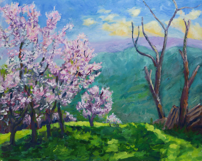 Bloeiende amdelbomen Andalusie