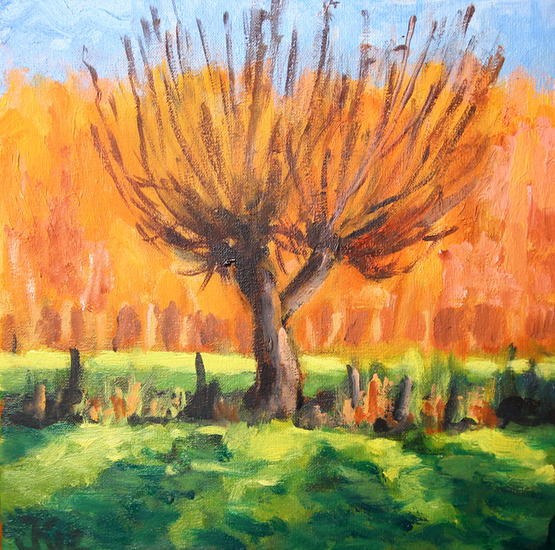 Bonenkampsweg, Gietelo. Late middagzon in de herfst