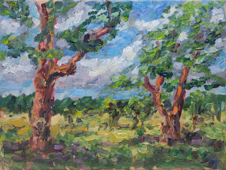 Appelboomgaard. Hoogland