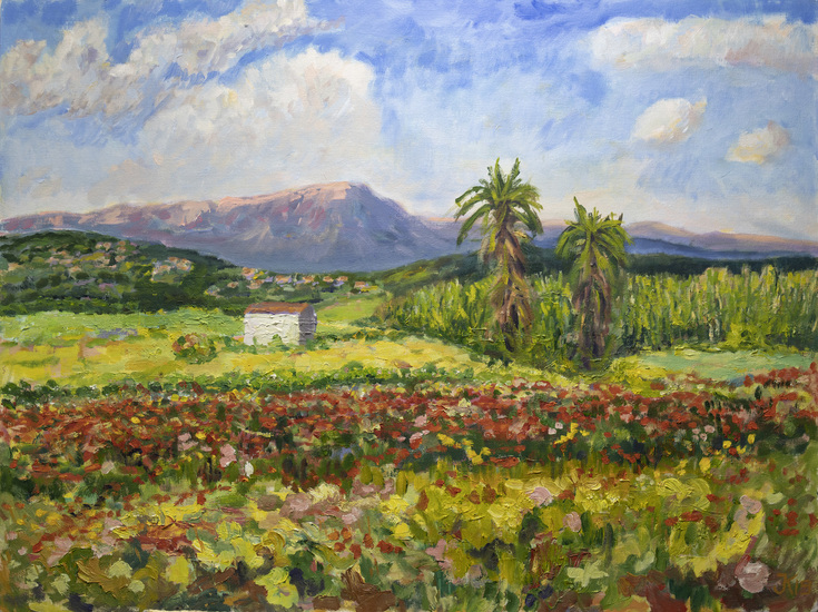 Mallorca. Langs de MA5110