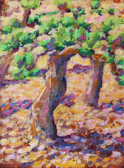 Uitlopende druiven 2