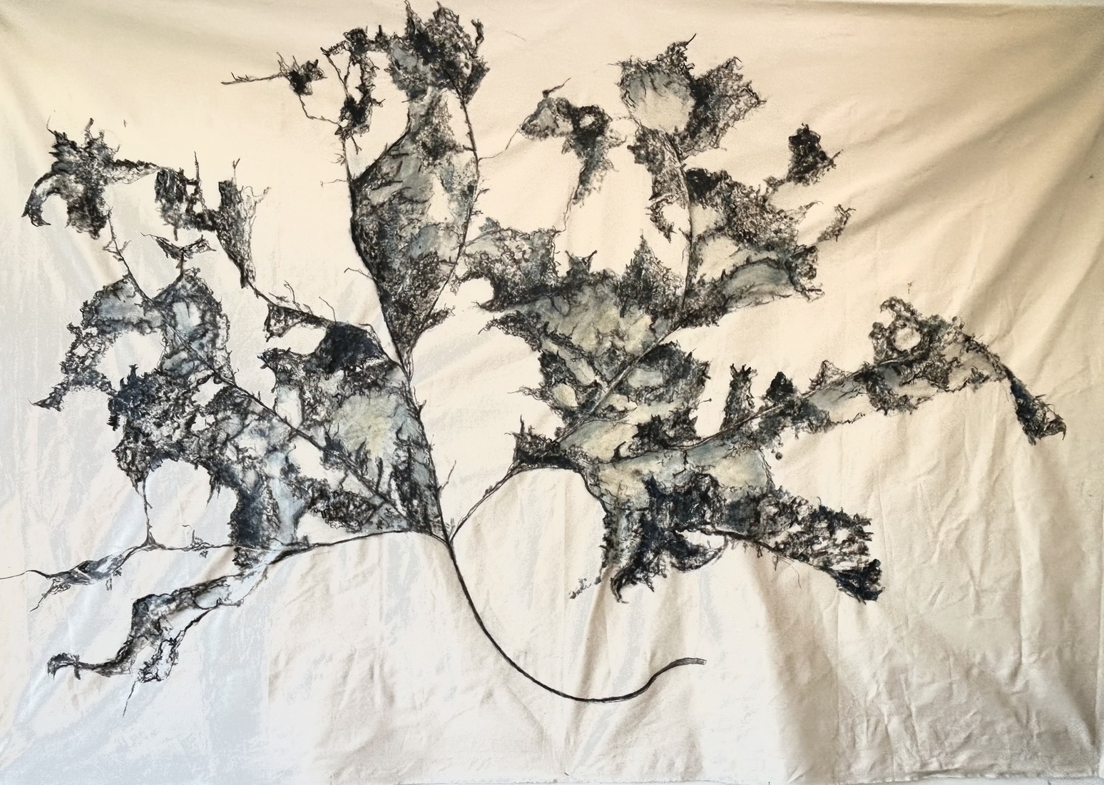 Groot hoefblad herfst